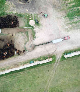 10 Reasons why you need a proper cattle crush