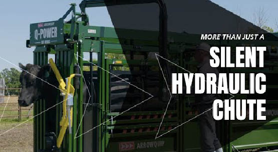 Arrowquip Cattle Equipment in action